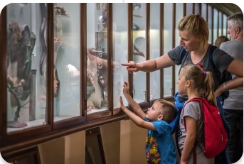 Free Museums in Every State that are Fun and Educational