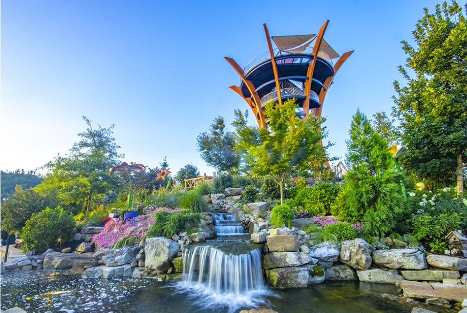 The Most Unique Family Vacations in the USA