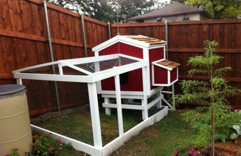 Backyard Chicken Coop Ideas [Simple DIY Plans and Photos 2025]